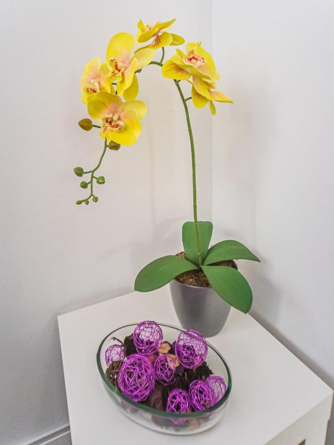 Mariposa En Frontera/Primavera Costa Del Silencio Ngoại thất bức ảnh